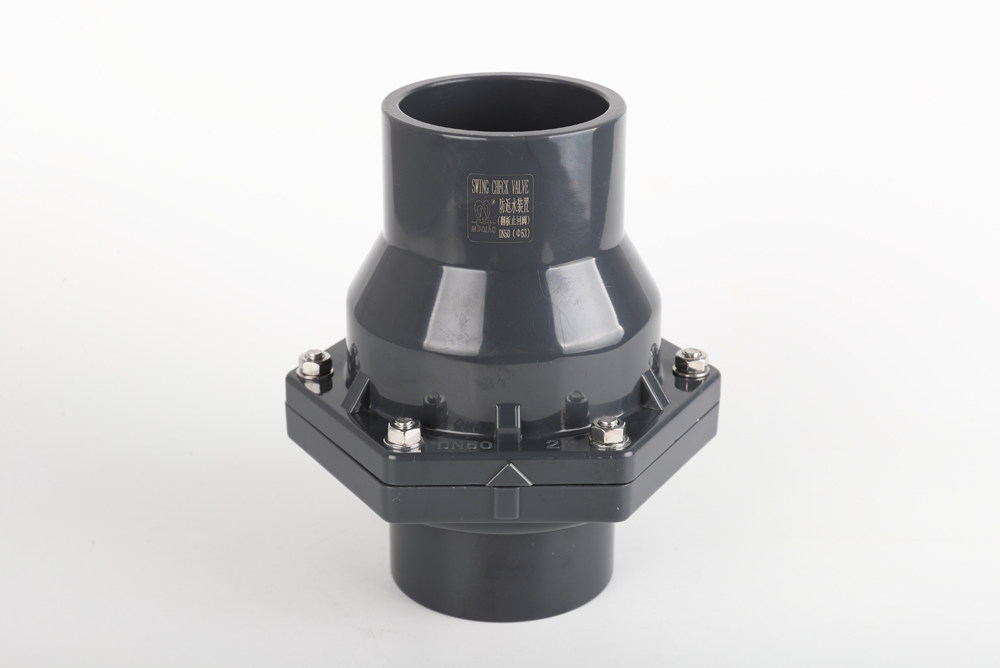 金湖翻板式止回阀