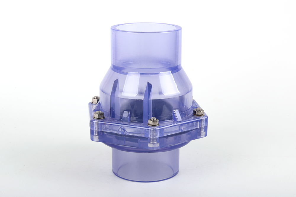 金湖透明翻板式止回阀